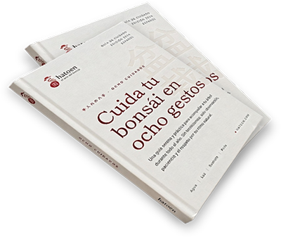 Ebook «Cuida tu bonsái en ocho gestos»